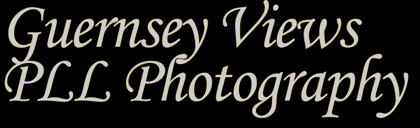 Guernsey views logo